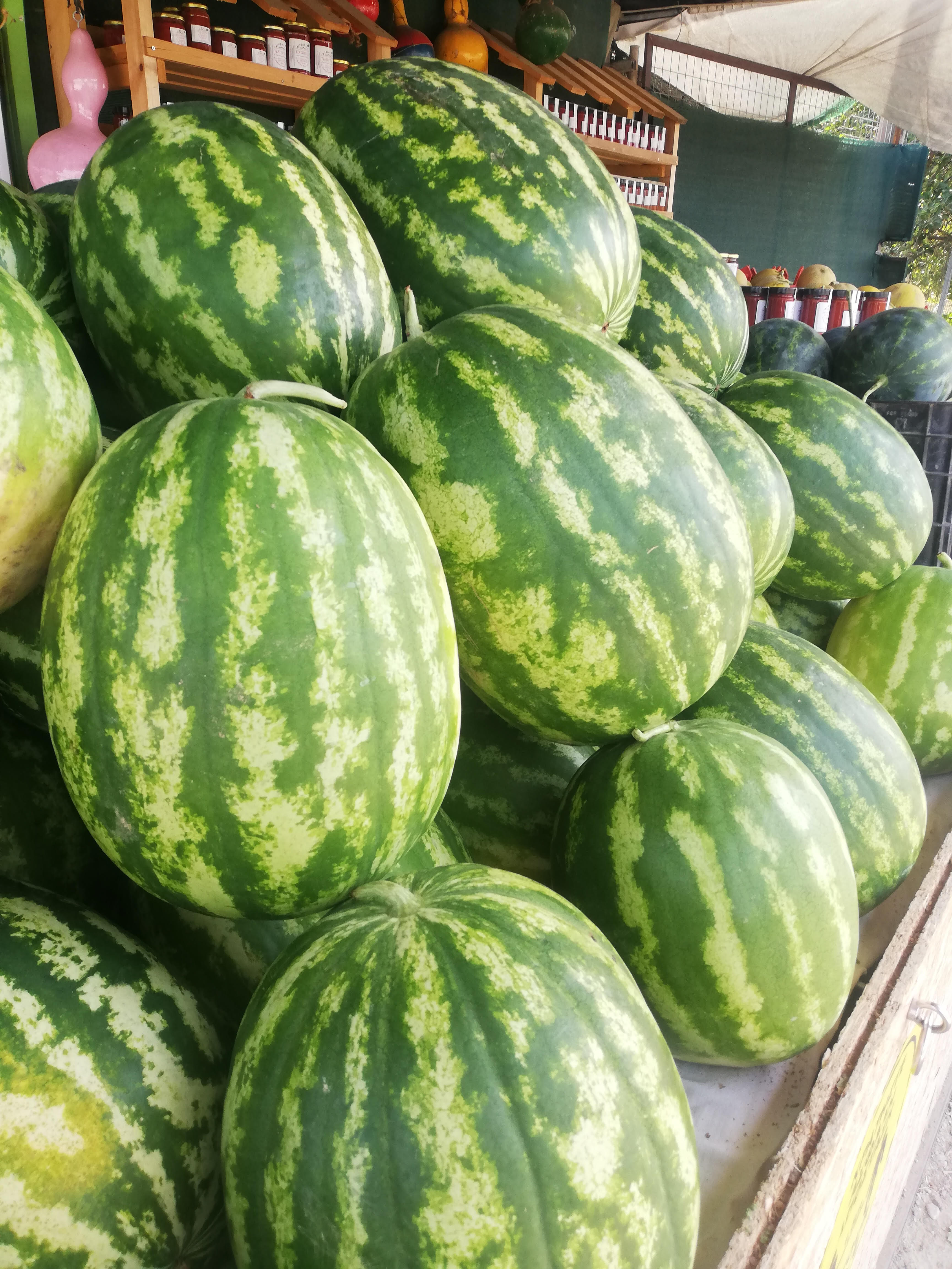Fresh Organic Mustard Leaf 